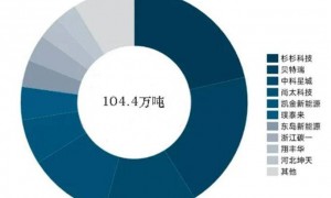 “江苏船王”冷血出手