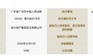 恒大地产集团武汉公司所持10.64亿元股权被冻结