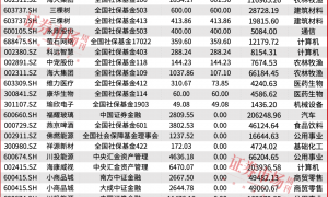 “国家队”买入！牛市进入新阶段