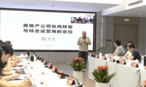 地产大佬冯仑的这盘棋，下了十年 || 深度