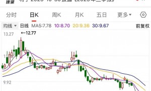 算力“黑马”海南华铁，被证监会立案调查！此前因36.9亿元大单告吹引市场一片“哗然”