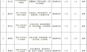 上海公布拟出让的商品住宅用地项目清单