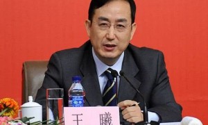 中科院院士王曦履新科技部副部长,科技部“两院院士”增至四人