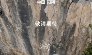 始祖鸟突然喊停