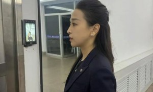 34岁保时捷女销冠报警因被人用AI假视频进行侮辱诽谤后,一男子因传播相关图片被警方拘留