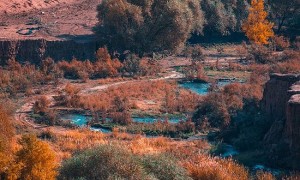 戈壁涌出三文鱼,节水工程赋能多元产业