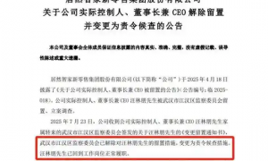 留置归来!湖北前首富居然智家汪林朋突然跳楼