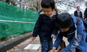 孙俪儿子帅到认不出!年仅14岁身高1米7,梦想打CBA职业联赛