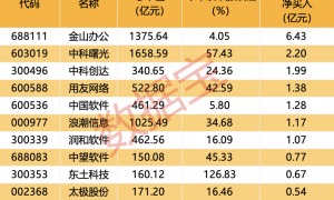 600745开盘跌停!多重利好催化,这一领域受益,融资客大幅加仓名单出炉