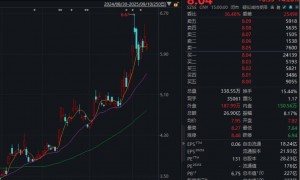 股价年内累涨近140%!湖南白银遇“高位减持”:大股东郴州国控拟减持不超过5646万股,占总股本2%