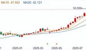 手握2000亿,新华保险炒股赚翻了