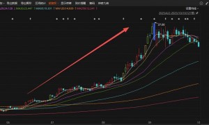 应声一字涨停!A股三季报行情纵深推进,17家上市公司净利最高同比预增超100%
