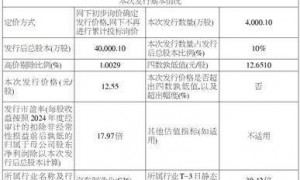 大明电子股份有限公司 首次公开发行股票并在主板上市发行公告